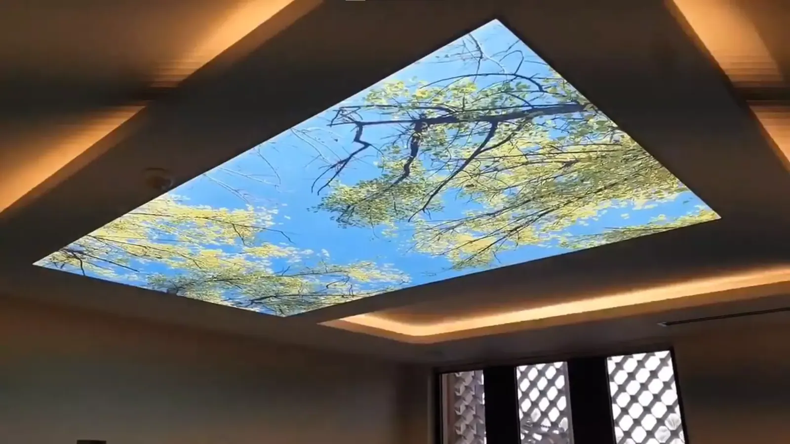 3D натяжной потолок — Саратов, проспект Строителей, 88, фото 1